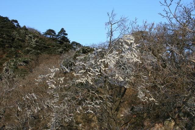调整大小 IMG_5669.JPG