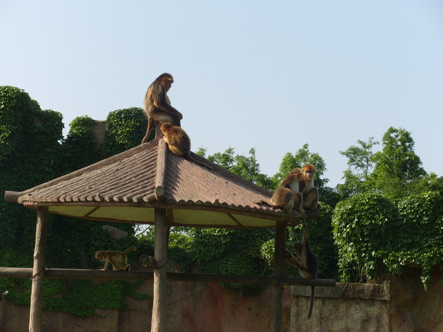 S1053149.JPG