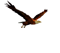 f9f428b54a0564c537d3caaf.gif