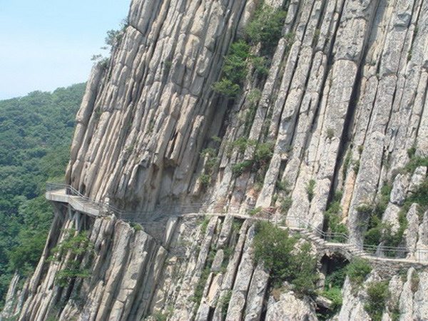 DSC01445.jpg