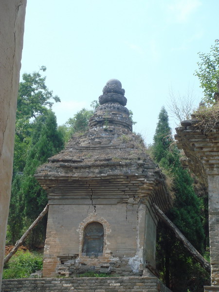 DSC01464_缩小大小.JPG