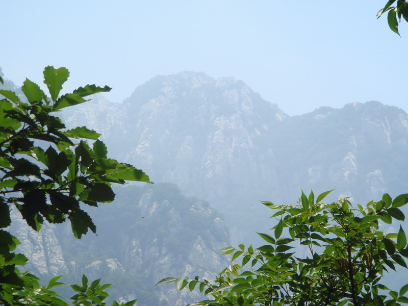DSC01428_缩小大小.JPG