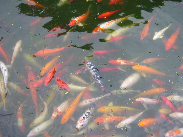 照片 056.jpg