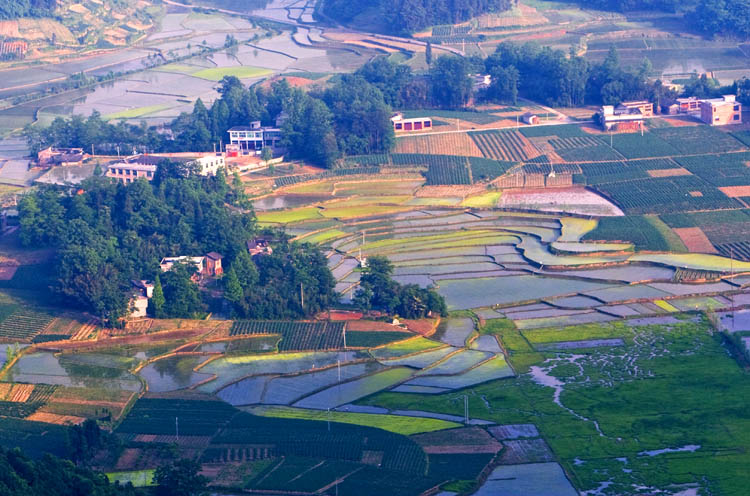 五彩大地.jpg