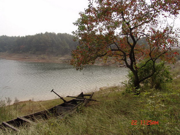 DSC04268_缩小大小_缩小大小.jpg