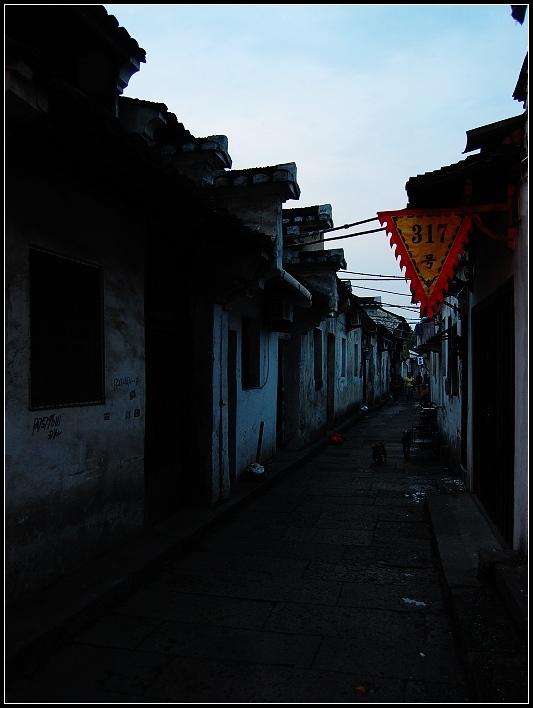照片 307.jpg