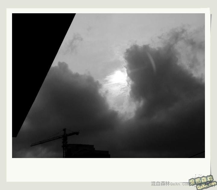 32315_4457_fa7d8095920ba37.jpg