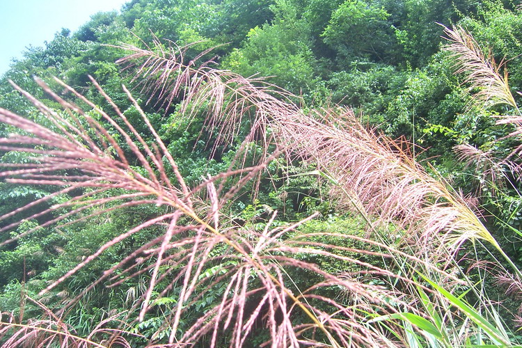 100_6878.jpg