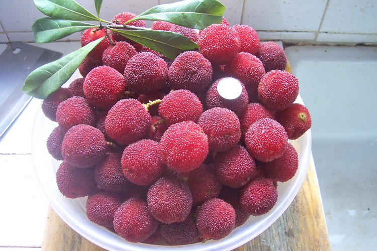 参照物:1角硬币