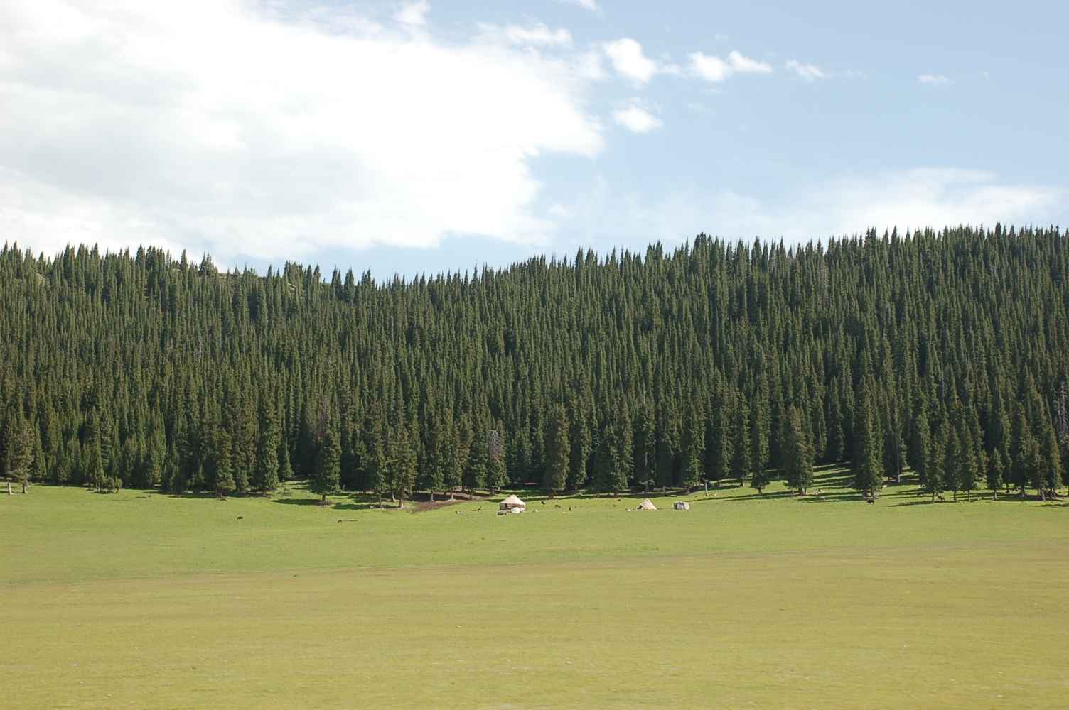 DSC_0407.JPG