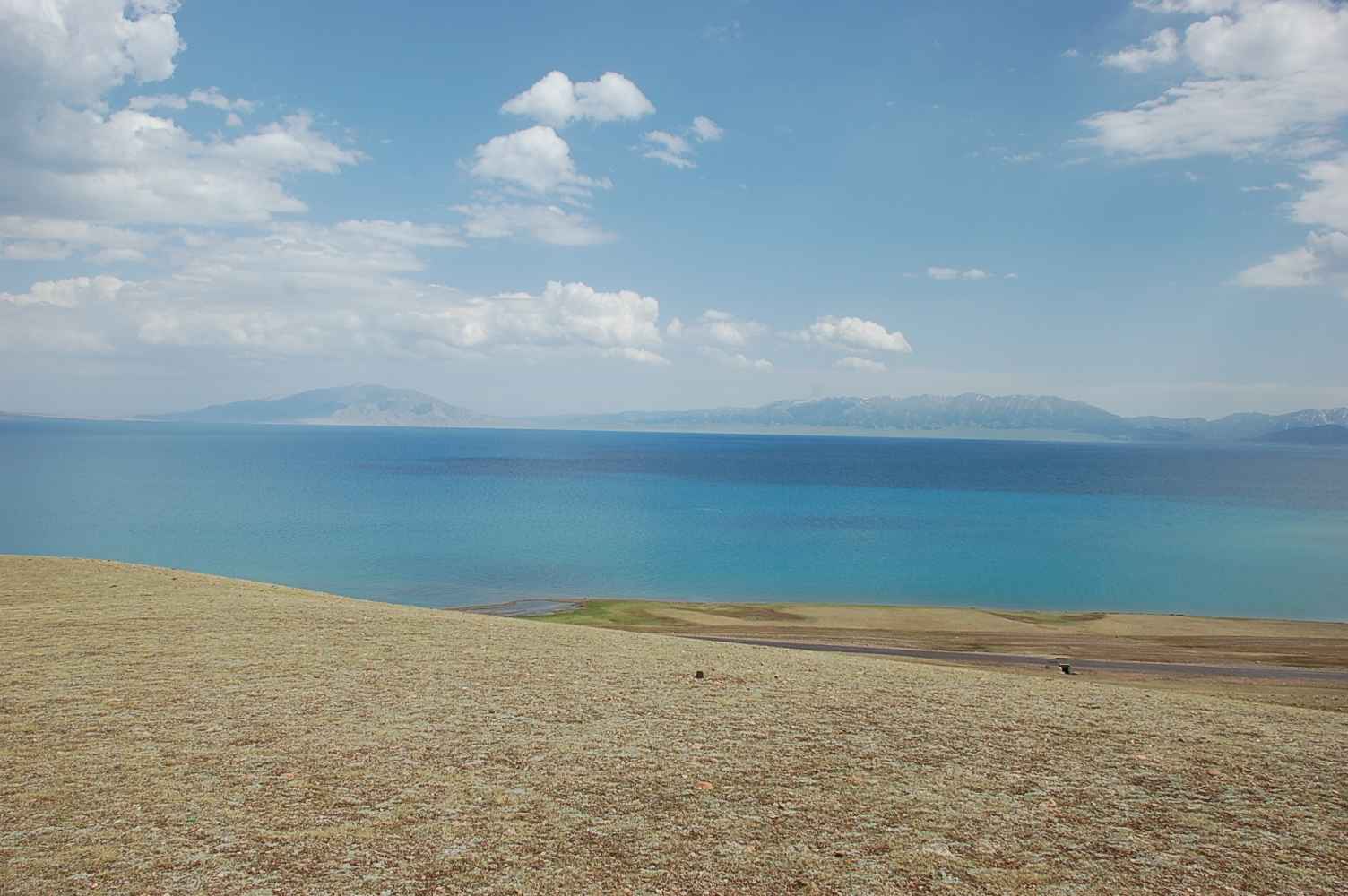 DSC_0356.JPG