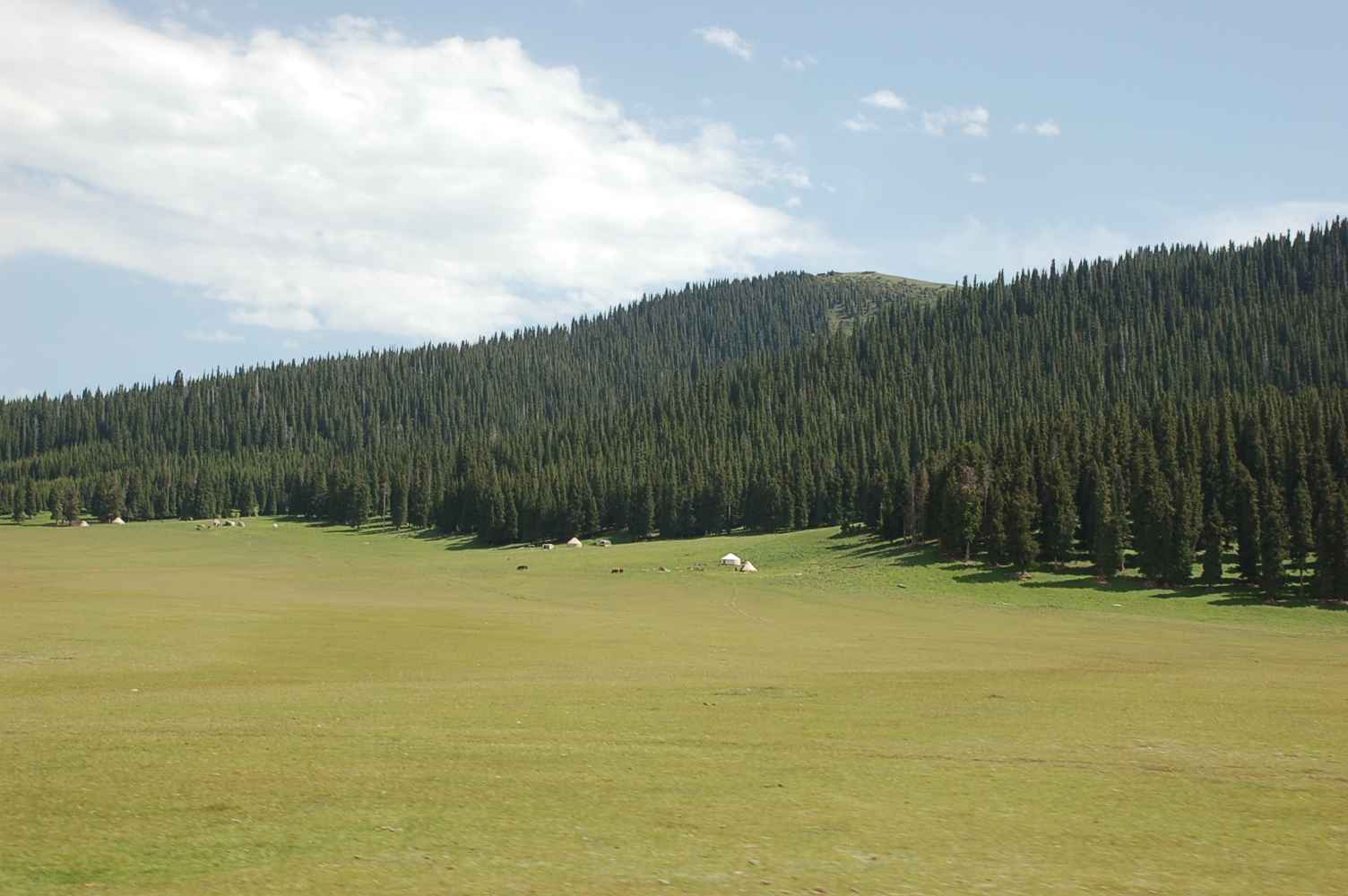 DSC_0398.JPG