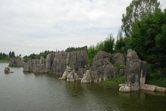 DSC_0224.JPG