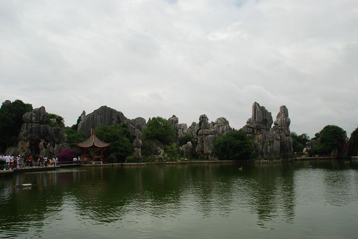 DSC_0262.JPG