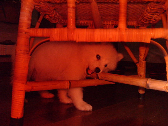 饿.JPG