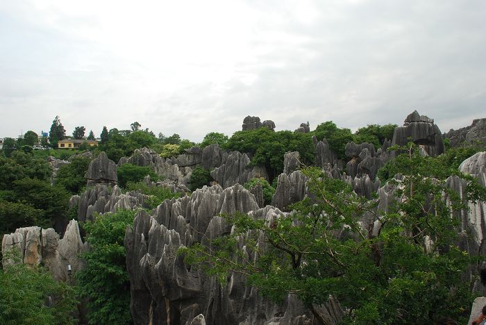 DSC_0310.JPG
