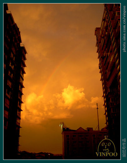080702雨后04.jpg