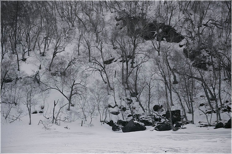 摄于雪乡