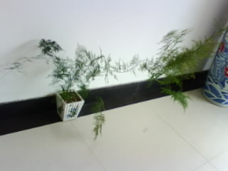 IMG0145A.jpg