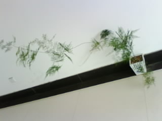 IMG0146A.jpg
