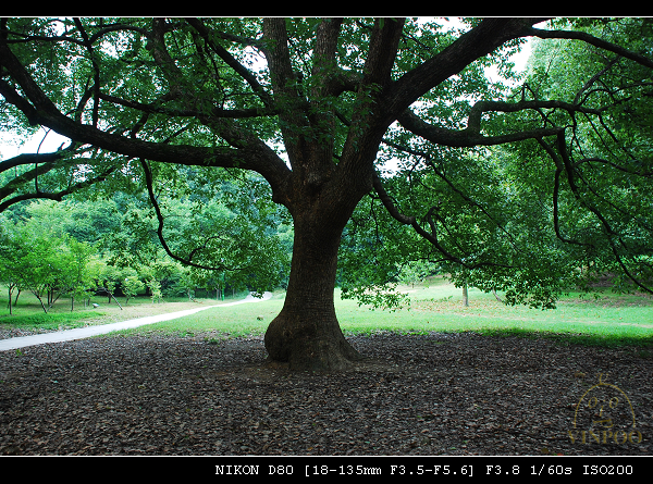 DSC_0145.jpg