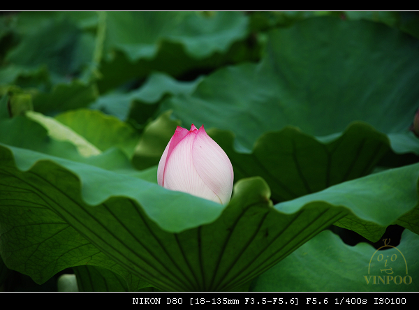 DSC_0189.jpg