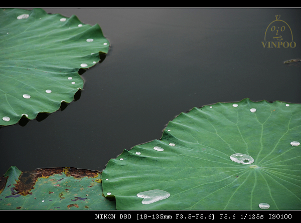 DSC_0166.jpg