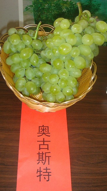 奥古斯特(和国际接轨)