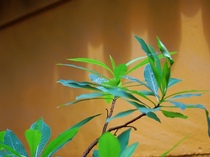 照片 004.jpg