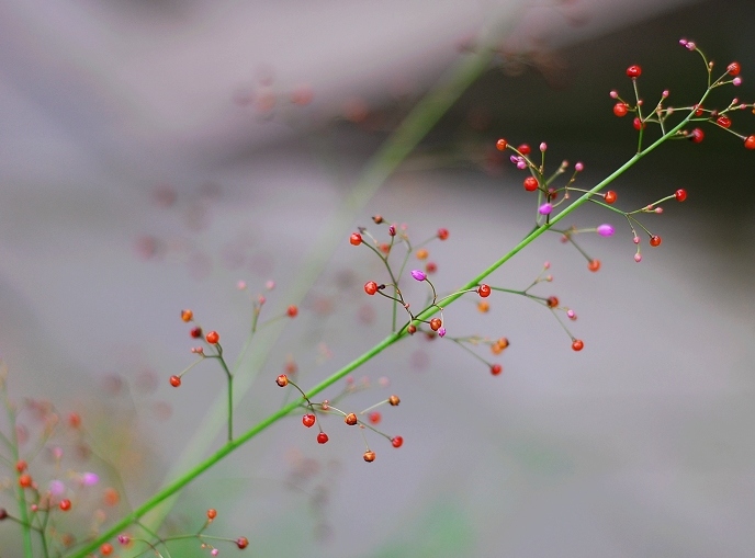 照片 048.jpg