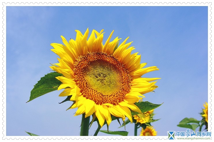 11bd726fa0eg214.jpg