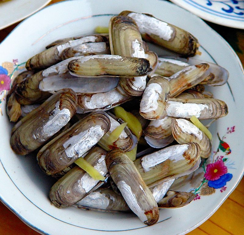 清蒸蛏子.jpg