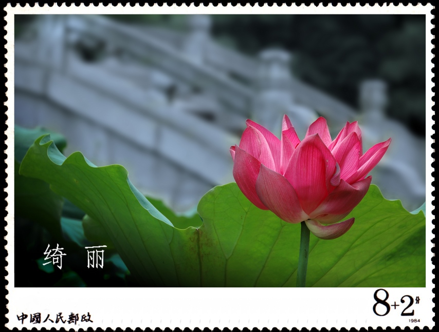 绮丽A.jpg