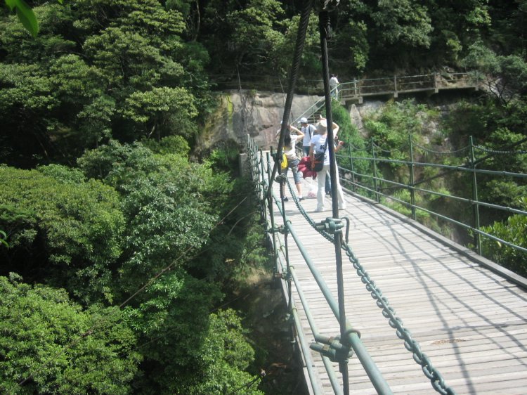 这就是龙泉大峡谷,吊桥下面好高