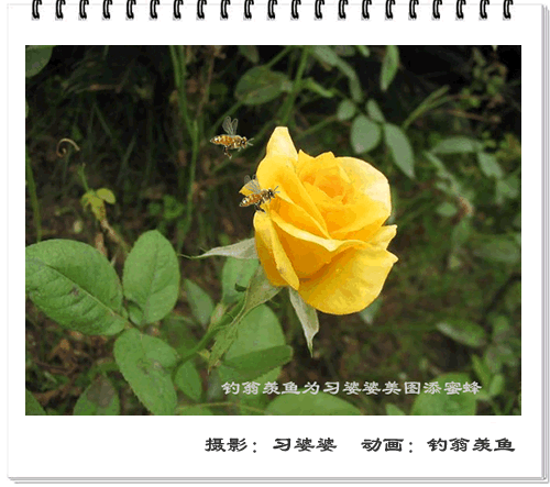 200712301220274.gif
