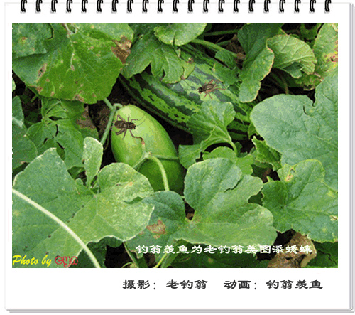 200712301219343.gif