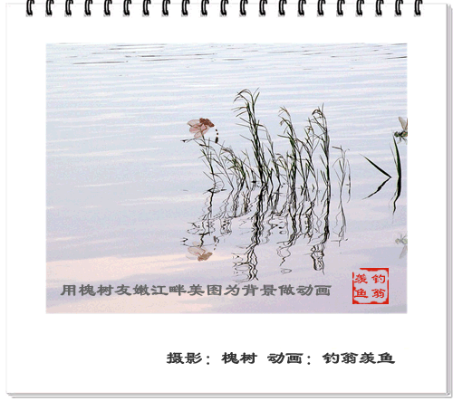200712301219345.gif