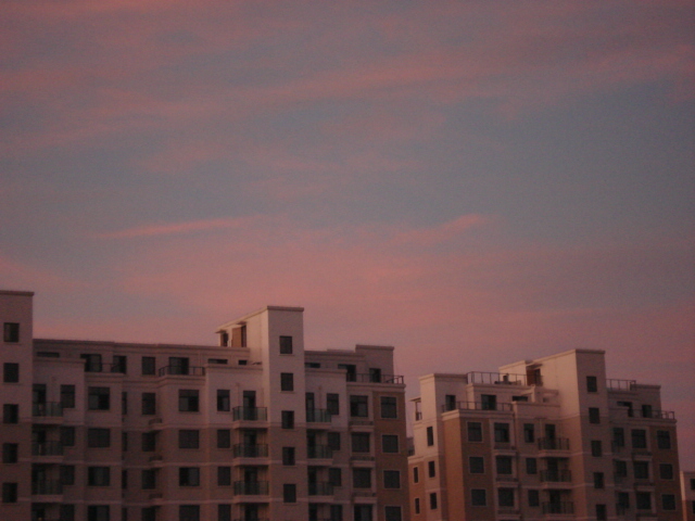 DSC04160.JPG