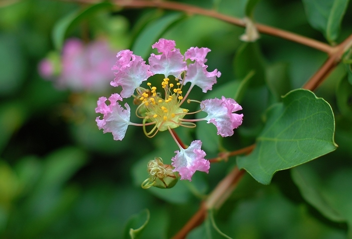 照片 057.jpg