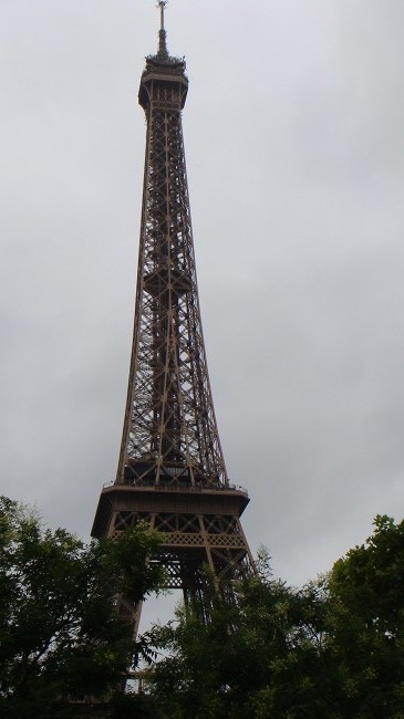 DSC00668.jpg