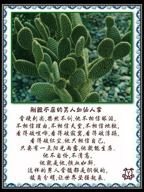 200862112405402.jpg