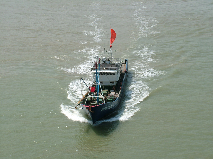 a8.JPG
