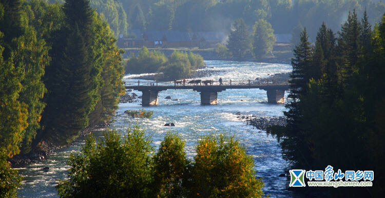 DSC_0384.JPG