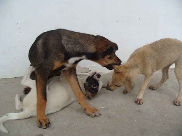 S1053558.JPG