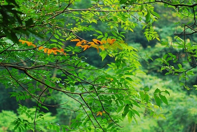 照片 170-1.jpg
