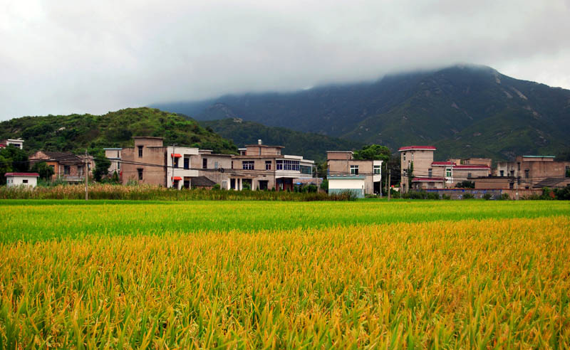 小南田01.jpg
