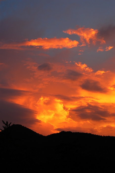 DSC_0054.jpg