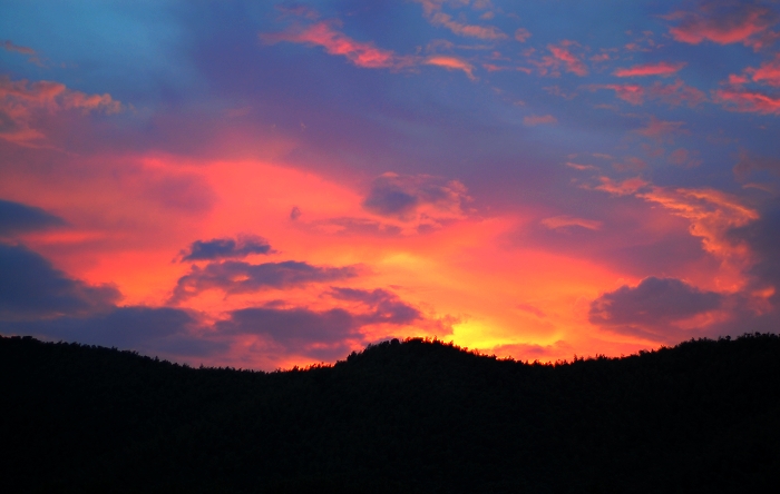 DSC_0063.jpg