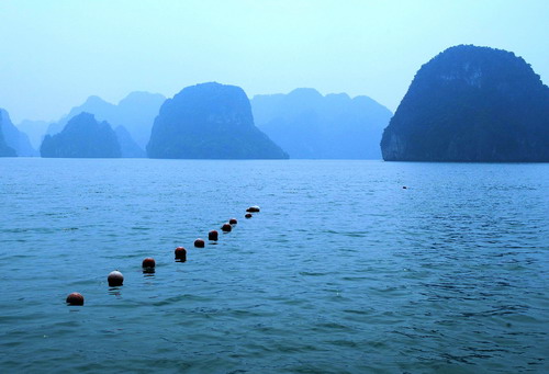 20080929_4b6c896d27e19d731d0eMto8JcznTFpr.jpg