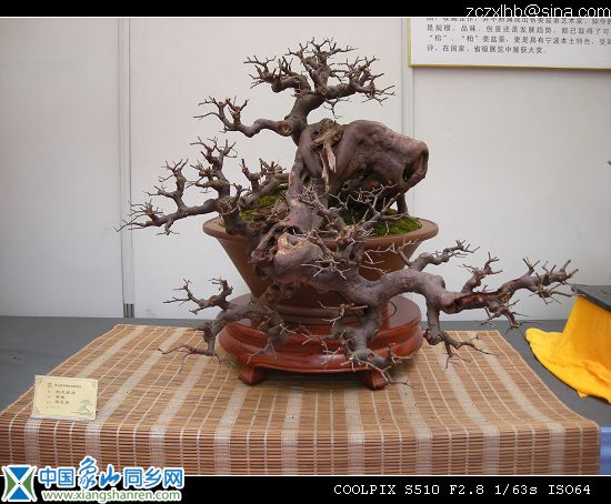 8宁波展品（展出4）.jpg